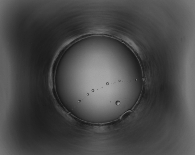X0000100771080200806191236
