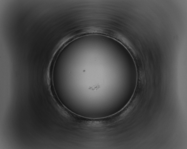 X0000100771082200806191236
