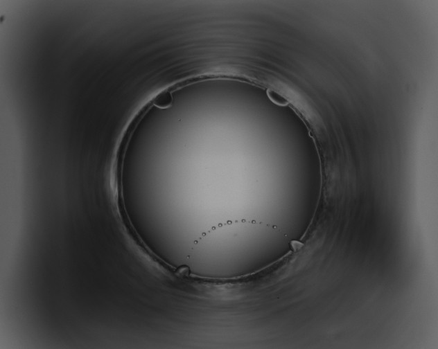 X0000100771084200806191236