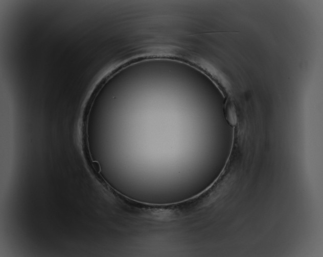 X0000100771085200806191236