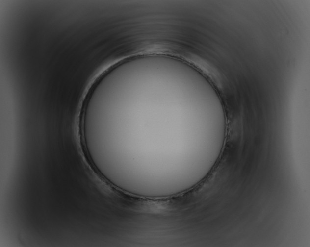 X0000100771086200806191236