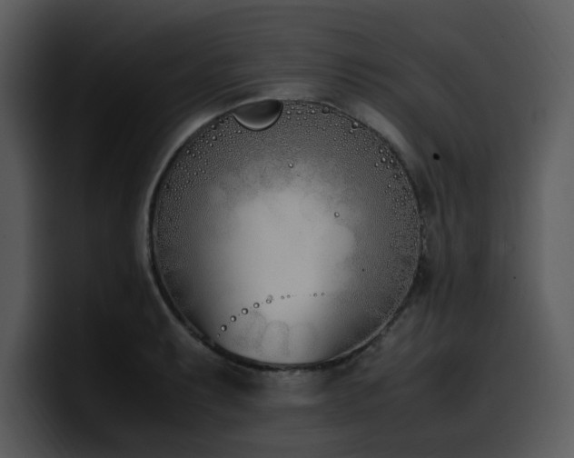 X0000100771087200806191236