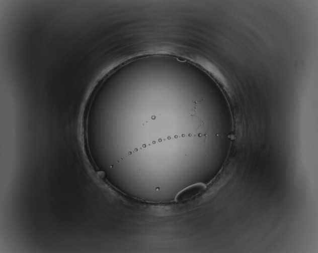 X0000100771088200806191236