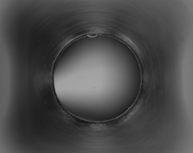 X0000100771089200806191236