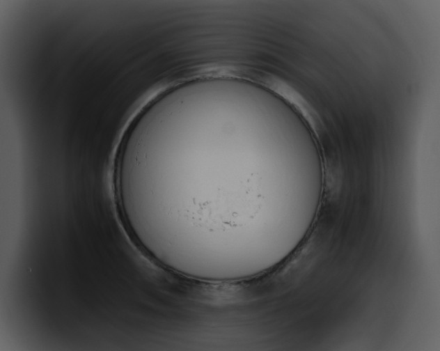 X0000100771090200806191236