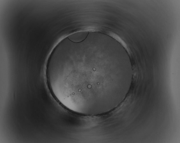 X0000100771091200806191236