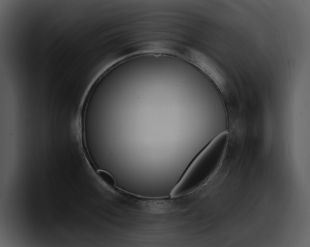 X0000100771092200806191236