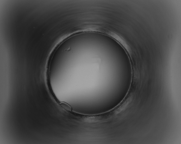 X0000100771093200806191236