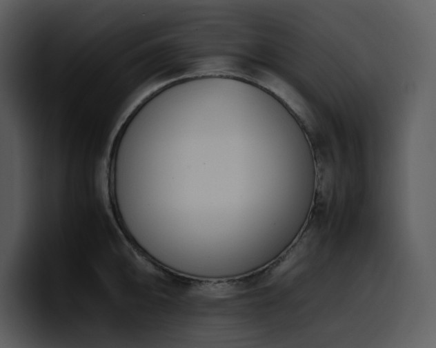 X0000100771094200806191236