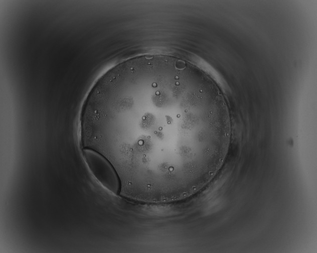 X0000100771095200806191236