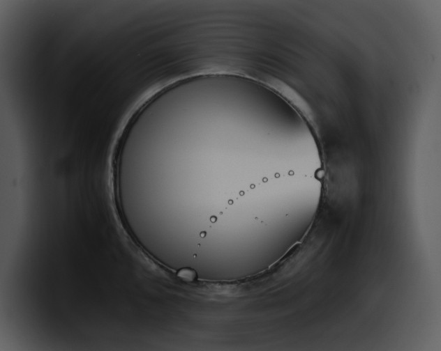 X0000100771096200806191236