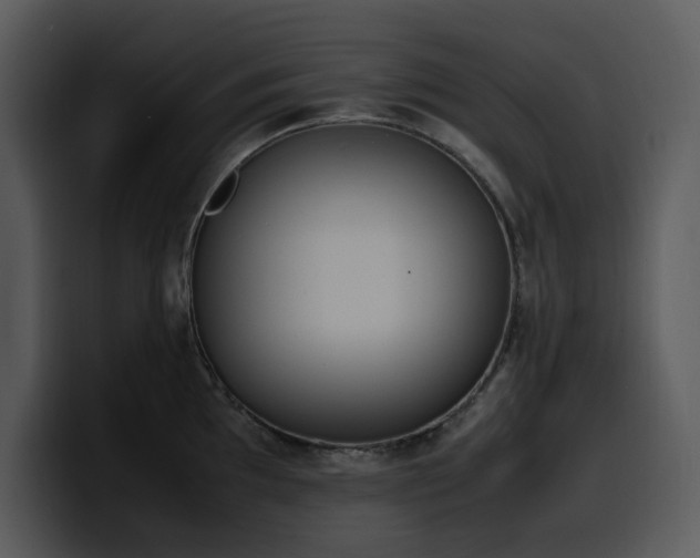 X0000100771097200806191236