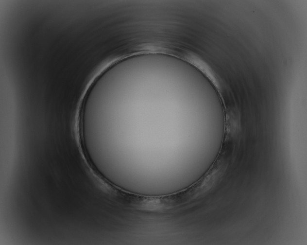 X0000100771098200806191236