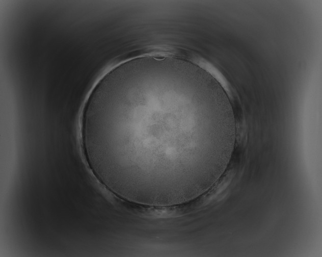 X0000100771099200806191236