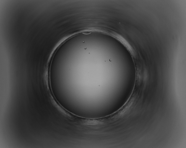 X0000100771100200806191236