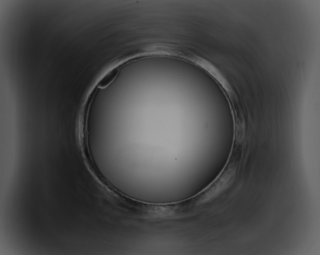 X0000100771101200806191236