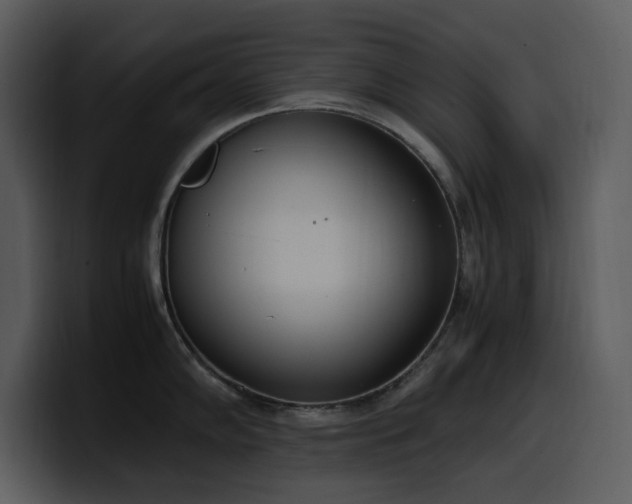 X0000100771102200806191236