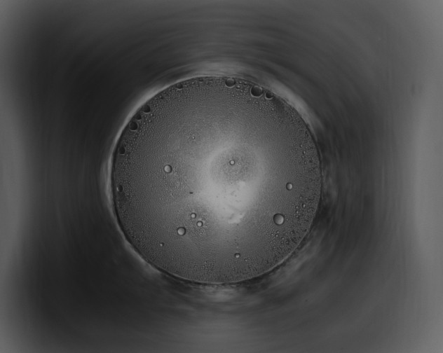 X0000100771103200806191236