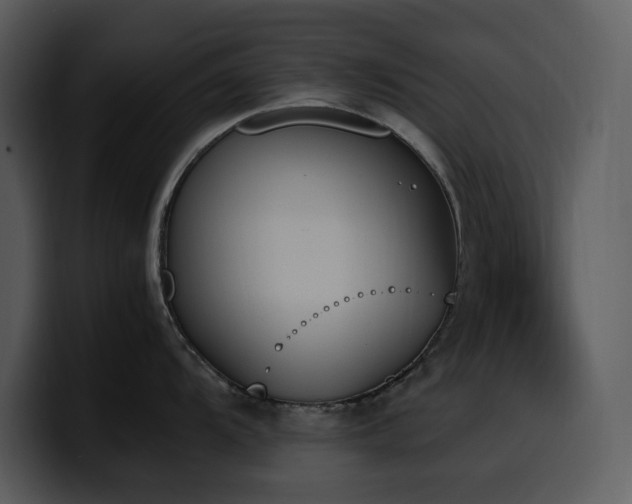 X0000100771104200806191236
