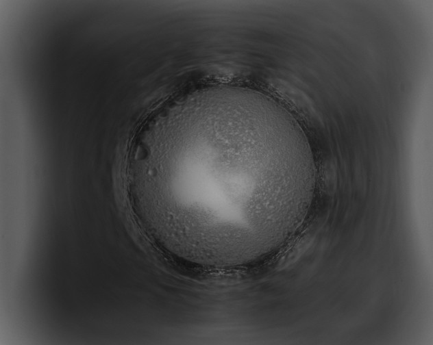 X0000100771105200806191235