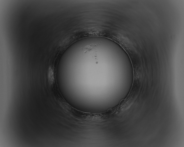 X0000100771106200806191235