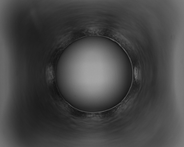 X0000100771107200806191235