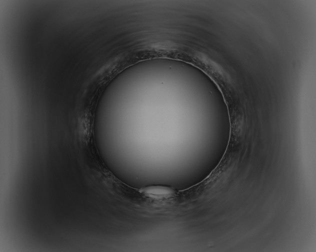 X0000100771110200806191235
