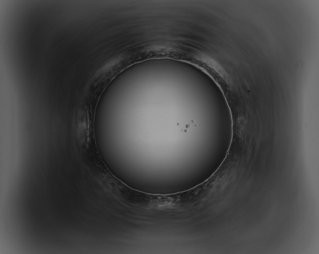 X0000100771111200806191235