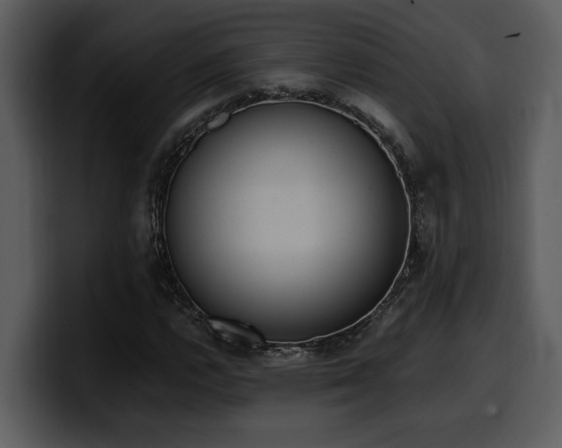 X0000100771112200806191235