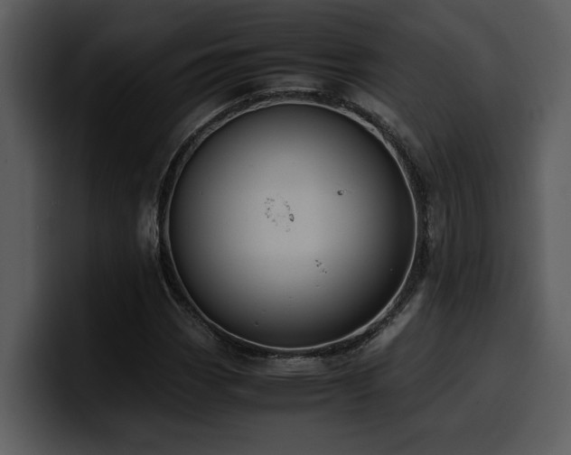 X0000100771113200806191235