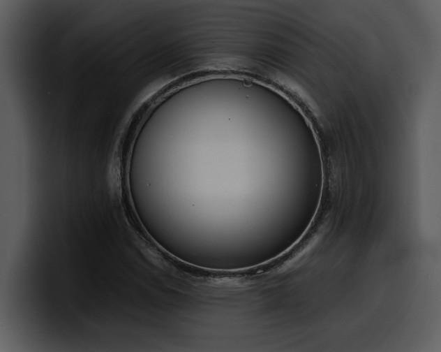 X0000100771114200806191235