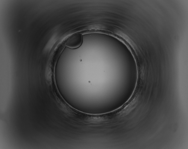 X0000100771115200806191235