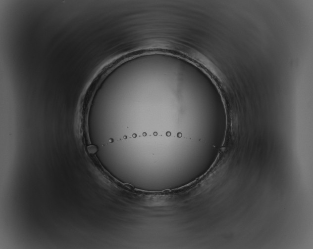 X0000100771116200806191235