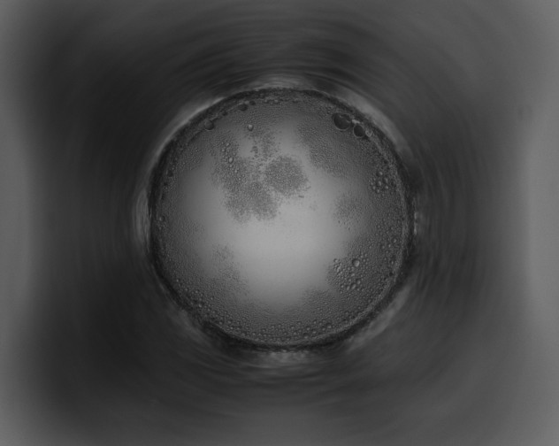 X0000100771117200806191235