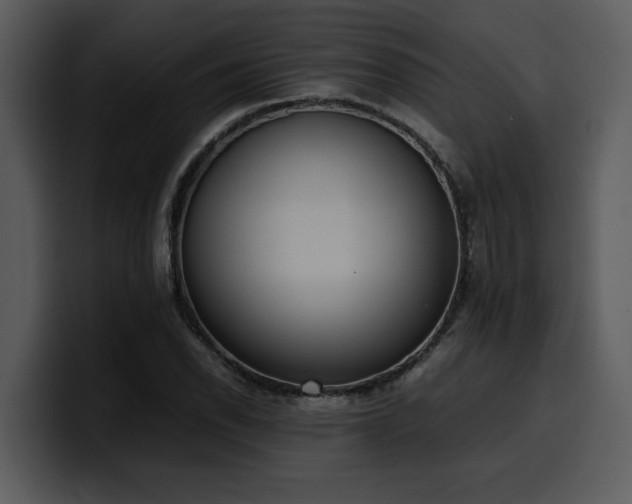 X0000100771118200806191235