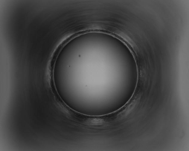 X0000100771119200806191235