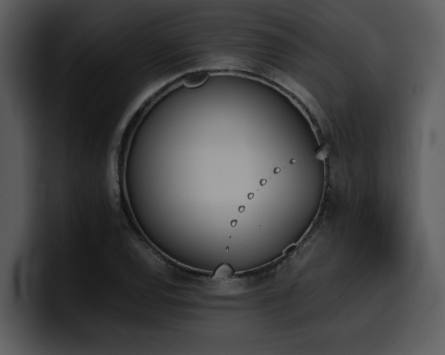 X0000100771120200806191235