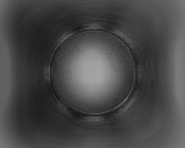 X0000100771121200806191235