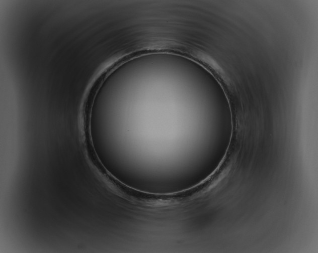 X0000100771122200806191235