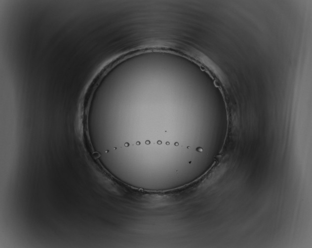 X0000100771124200806191235