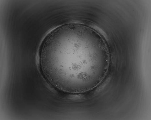 X0000100771125200806191235