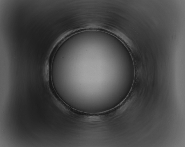 X0000100771126200806191235