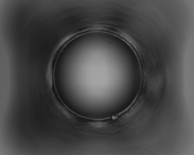 X0000100771127200806191235