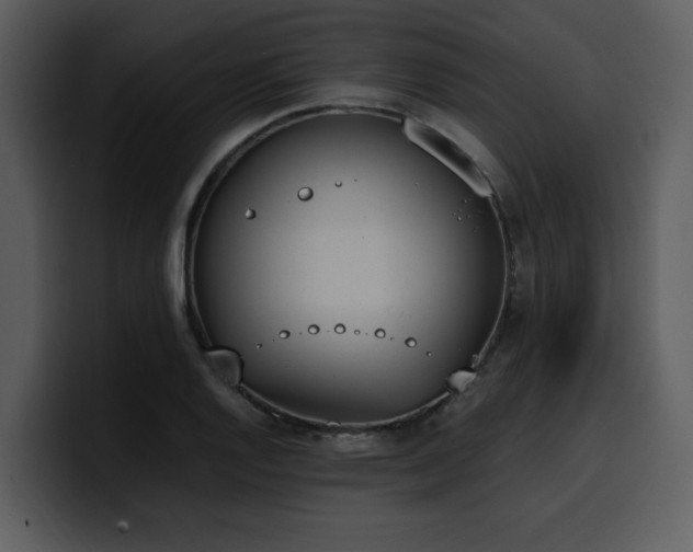 X0000100771128200806191235