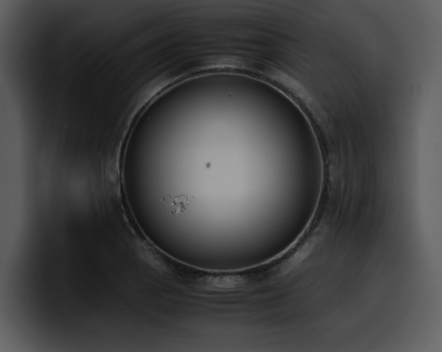 X0000100771129200806191236