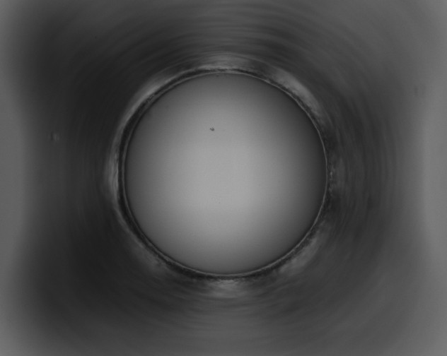 X0000100771130200806191236