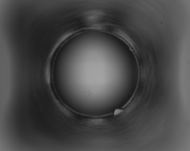 X0000100771131200806191236