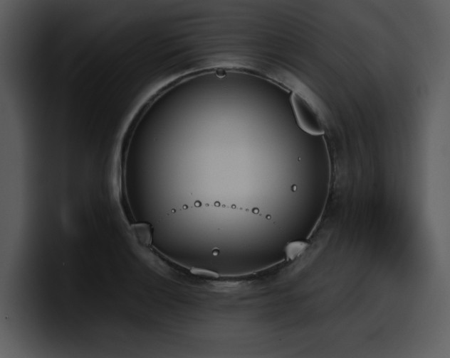 X0000100771132200806191236