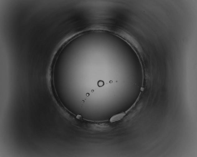 X0000100771133200806191236
