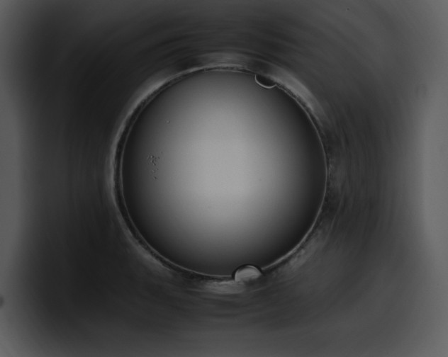 X0000100771135200806191236